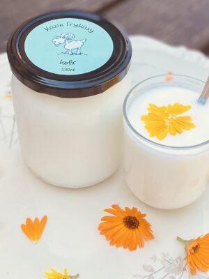 Kefir kozi