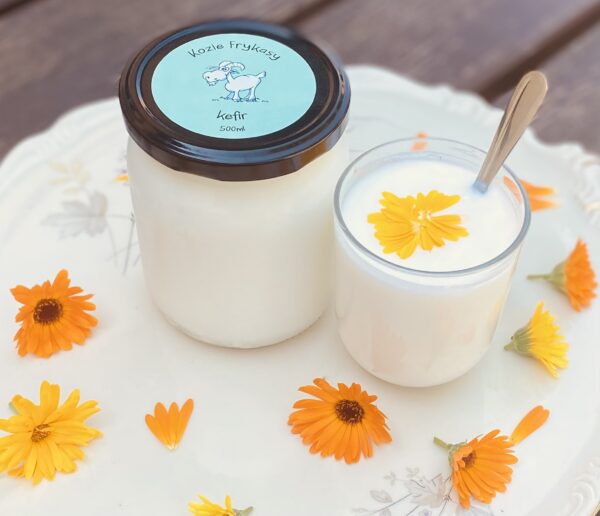 Kefir Kefir kozi