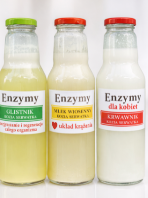 Zakwas Bołotowa-enzymy zdrowotne