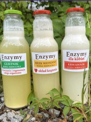 Zakwas Bołotowa-enzymy zdrowotne